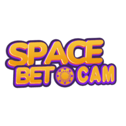 how do you play sudoku video
